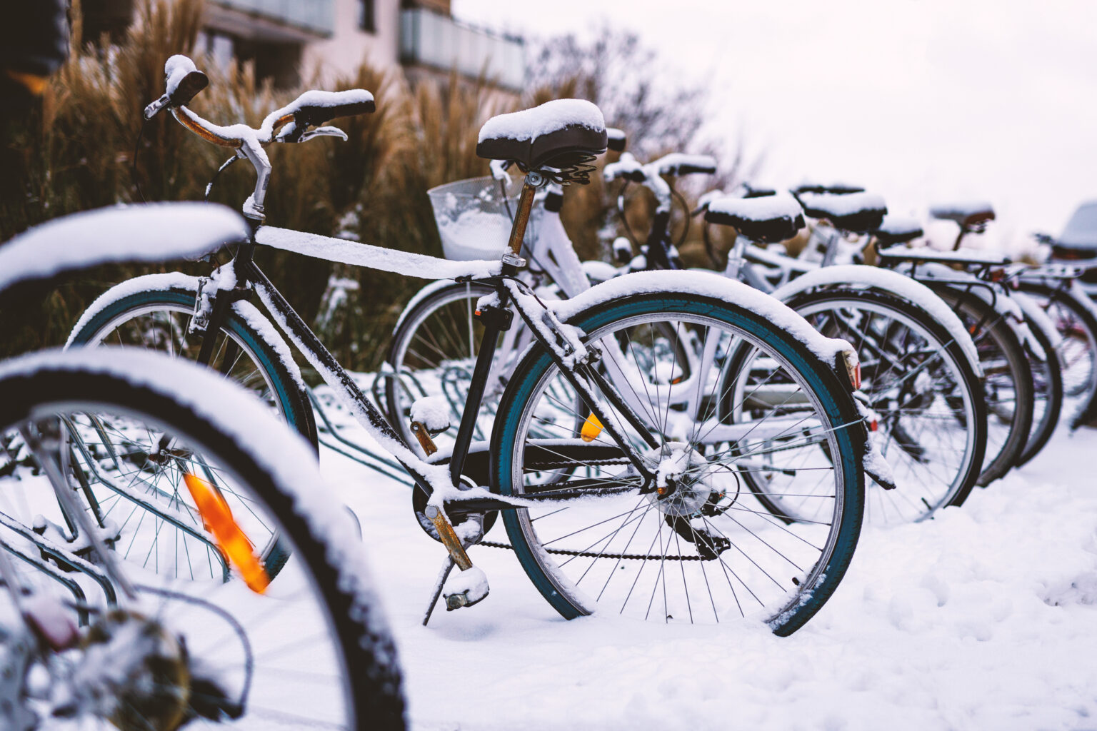 Bikes in snow