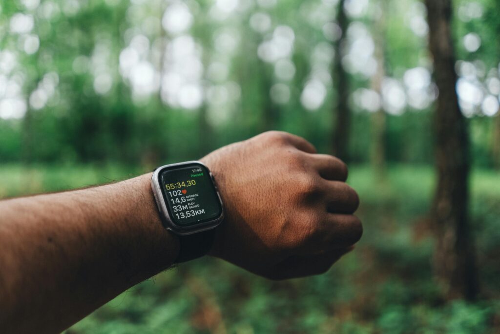 Uhr im Wald